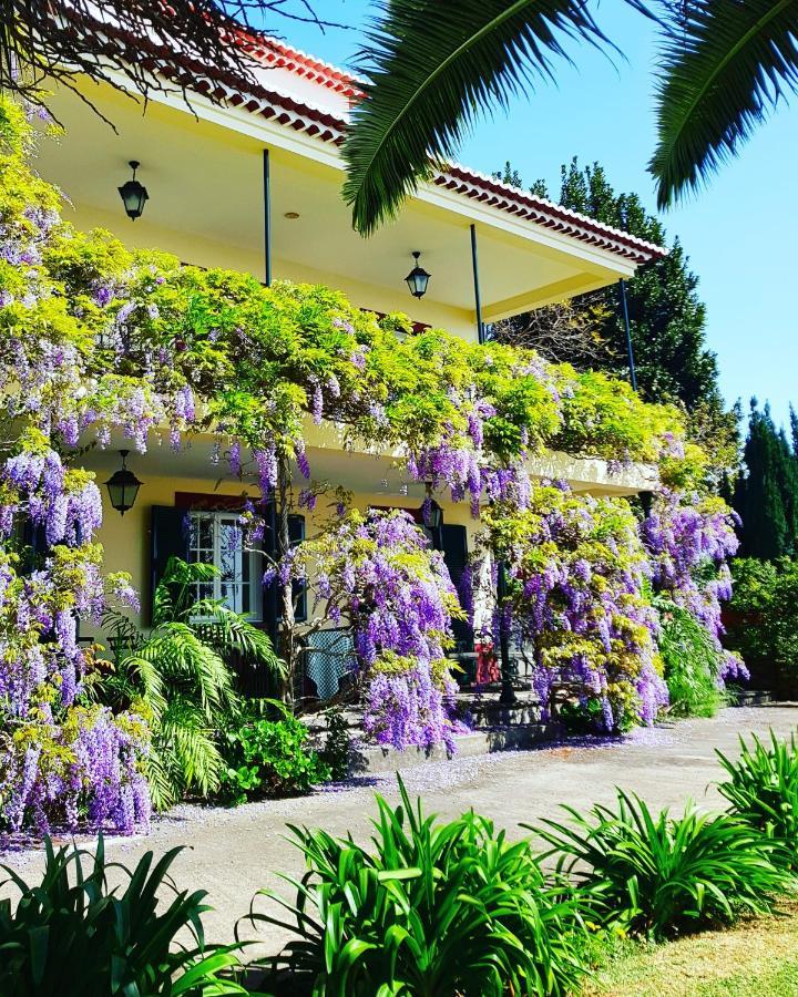 Quinta Do Cabouco Hotel Ribeira Brava Exterior photo